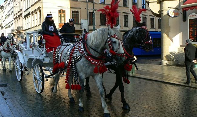 Vánoční trhy Krakow
