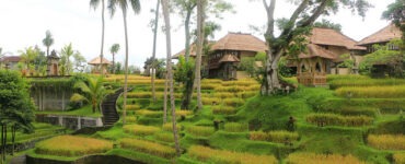Ubud, Bali