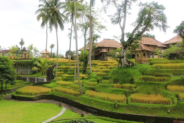 Ubud, Bali