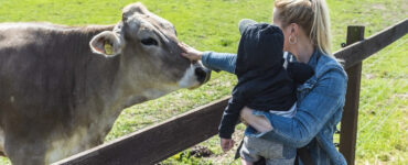 Farmapark Soběhrdy