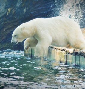 ZOO Praha