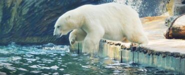 ZOO Praha