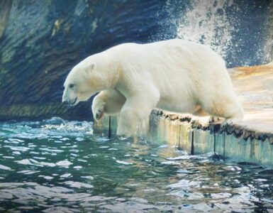 ZOO Praha