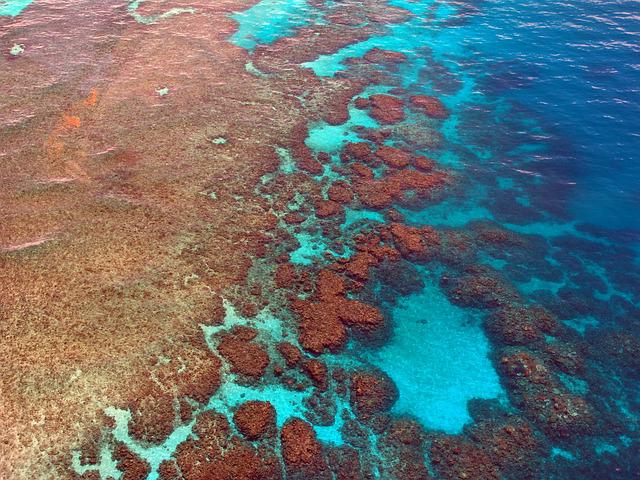 Velký bariérový útes - Austrálie