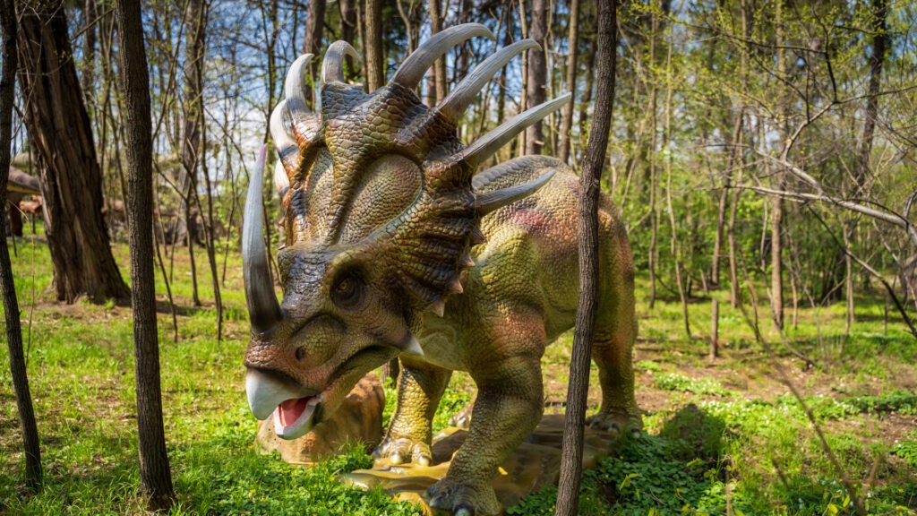 Zatorland Amusement Park