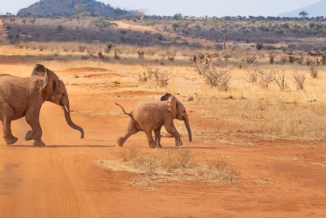 Keňa, Afrika