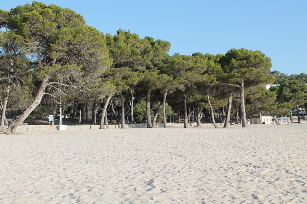 Santa Ponsa