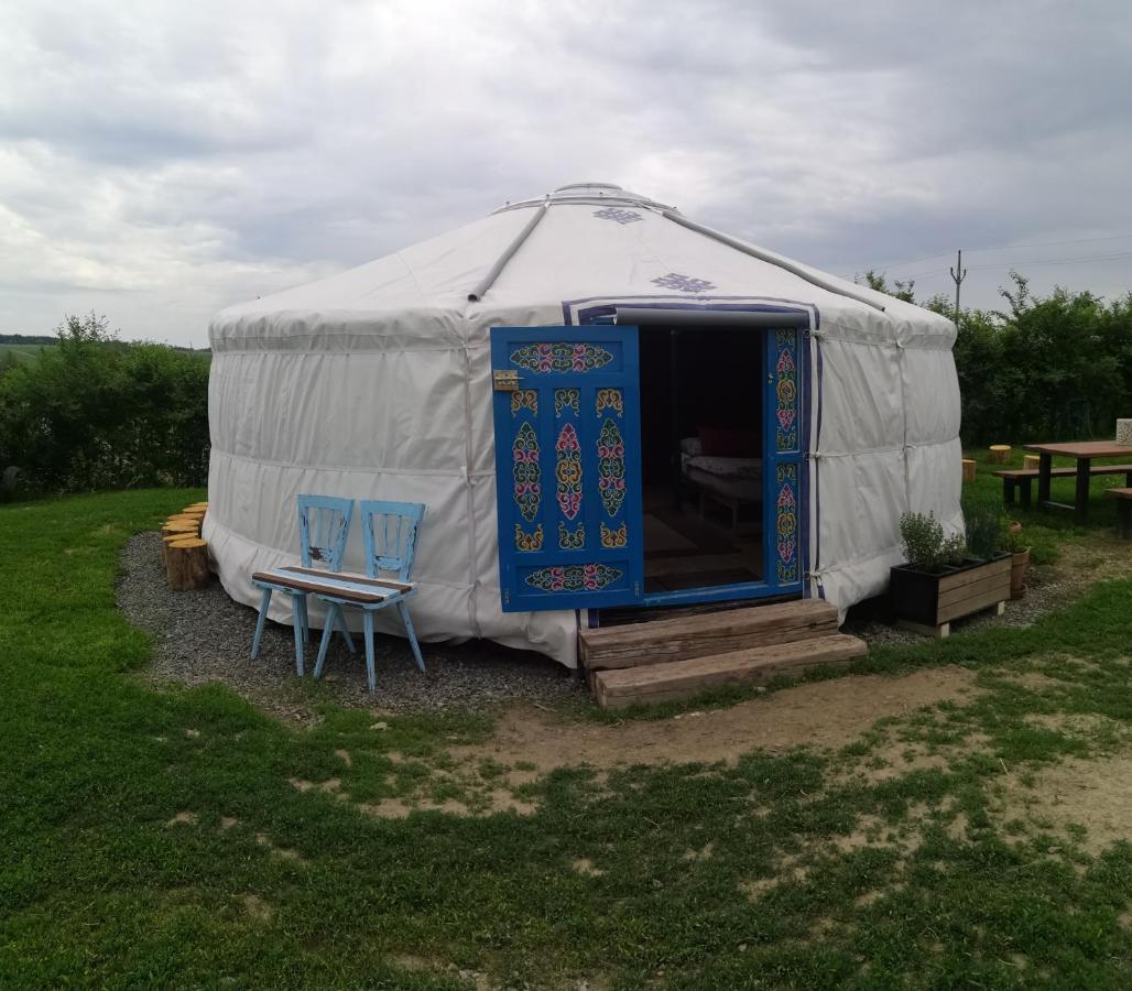 Jurta na zvířecí farmě s venkovním bazénem