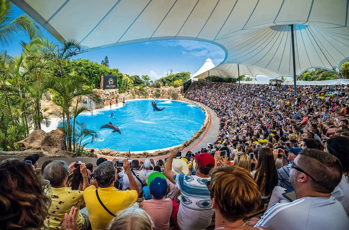 ZOO Loro Parque, Tenerife