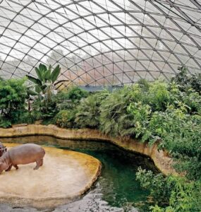 Zoo v Berlíně