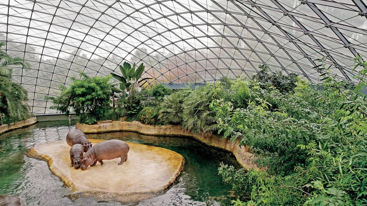 Zoo v Berlíně