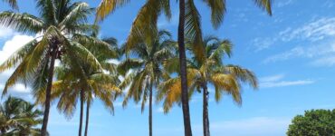 Varadero, Kuba